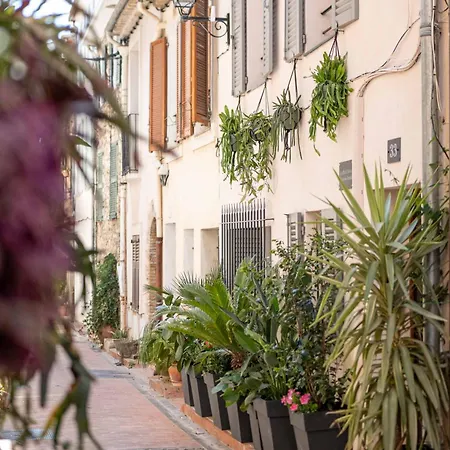 Les Petits Volets A 100m De La Apartamento Antibes