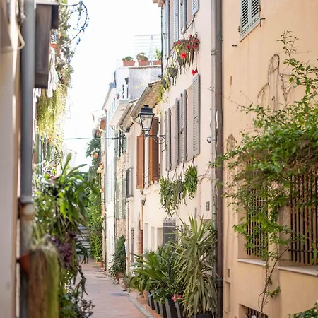 Appartement Les Petits Volets A 100m De La Antibes